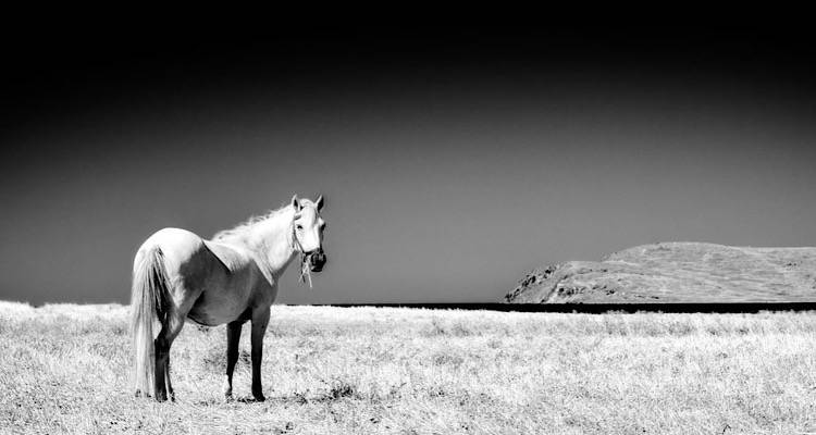 Ο Λημνιός Μάνος Σπαρής στο 2ο B&amp;W Athens Photography