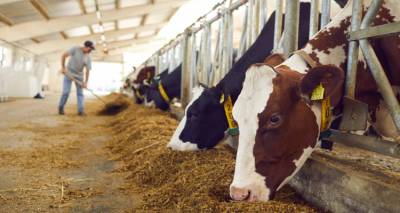 &Pi;&Omicron;&Upsilon;: &Epsilon;&nu;&tau;&omicron;&pi;ί&sigma;&tau;&eta;&kappa;&epsilon; &sigma;&epsilon; &upsilon;&psi;&eta;&lambda;ή &sigma;&upsilon;&gamma;&kappa;έ&nu;&tau;&rho;&omega;&sigma;&eta; &omicron; &iota;ό&sigmaf; &tau;&eta;&sigmaf; &gamma;&rho;ί&pi;&eta;&sigmaf; &tau;&omega;&nu; &pi;&tau;&eta;&nu;ώ&nu; &sigma;&tau;&omicron; &alpha;&gamma;&epsilon;&lambda;&alpha;&delta;&iota;&nu;ό &gamma;ά&lambda;&alpha;