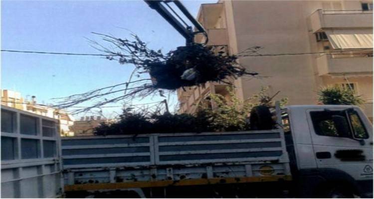 Κάθε Τρίτη και Πέμπτη η συλλογή κλαδιών από το Δήμο Λήμνου