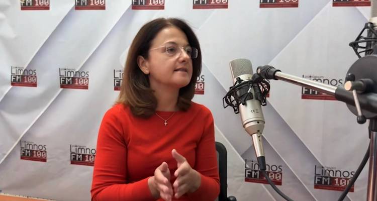 Χριστίνα Σακαρίκου: Οι προκλήσεις και τα σχέδια του Παλημνιακού Ταμείου για την επόμενη μέρα | ΣΥΝΕΝΤΕΥΞΗ