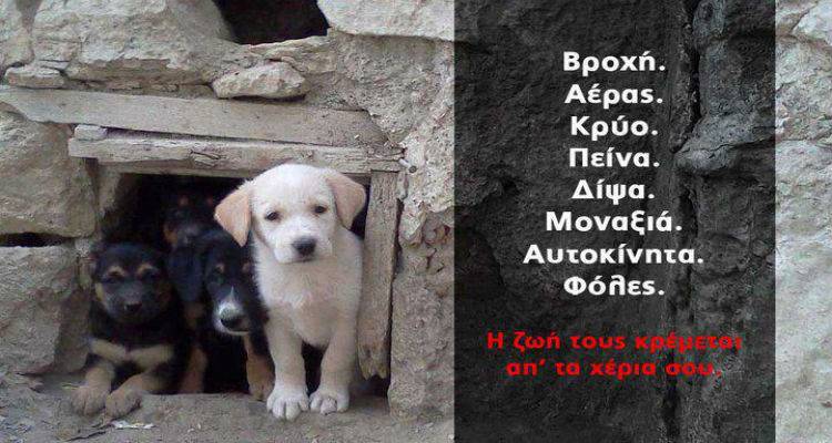 &laquo;&Pi;&rho;&omicron;&sigma;&omicron;&chi;ή &phi;ό&lambda;&epsilon;&sigmaf;&raquo; &sigma;&tau;&eta; &Mu;ύ&rho;&iota;&nu;&alpha;