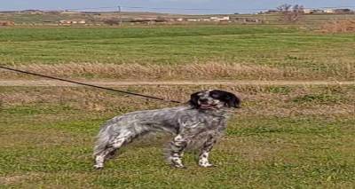 &Mu;ή&pi;&omega;&sigmaf; &tau;&omicron; έ&chi;&epsilon;&tau;&epsilon; &delta;&epsilon;&iota;;