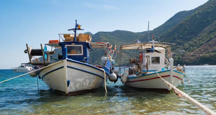 &Eta;&lambda;&epsilon;&kappa;&tau;&rho;&omicron;&nu;&iota;&kappa;ή &delta;&iota;&epsilon;&kappa;&pi;&epsilon;&rho;&alpha;ί&omega;&sigma;&eta; &alpha;&iota;&tau;ή&sigma;&epsilon;&omega;&nu; έ&kappa;&delta;&omicron;&sigma;&eta;&sigmaf; &kappa;&alpha;&iota; &alpha;&nu;&alpha;&nu;έ&omega;&sigma;&eta;&sigmaf; ά&delta;&epsilon;&iota;&alpha;&sigmaf; &epsilon;&kappa;&tau;έ&lambda;&epsilon;&sigma;&eta;&sigmaf; &pi;&lambda;ό&omega;&nu; &epsilon;&pi;&alpha;&gamma;&gamma;&epsilon;&lambda;&mu;&alpha;&tau;&iota;&kappa;ώ&nu; &kappa;&alpha;&iota; &epsilon;&rho;&alpha;&sigma;&iota;&tau;&epsilon;&chi;&nu;&iota;&kappa;ώ&nu; &mu;&iota;&kappa;&rho;ώ&nu; &sigma;&kappa;&alpha;&phi;ώ&nu;