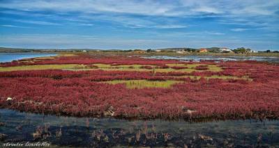 &Eta; &Lambda;ή&mu;&nu;&omicron;&sigmaf; &tau;&omicron; &Phi;&theta;&iota;&nu;ό&pi;&omega;&rho;&omicron;: &pi;&epsilon;&rho;&iota;&omicron;&chi;ή &Kappa;&omicron;&upsilon;&kappa;&omicron;&nu;ή&sigma;&iota;.