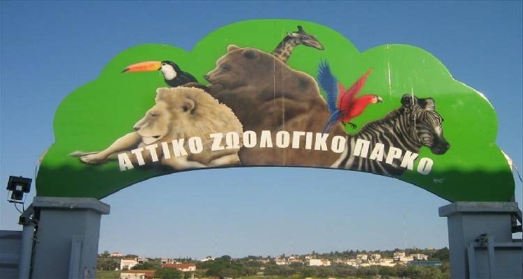 &Sigma;&tau;&omicron; &mu;&iota;&kappa;&rho;&omicron;&sigma;&kappa;ό&pi;&iota;&omicron; &omicron;&iota; &sigma;&upsilon;&nu;&theta;ή&kappa;&epsilon;&sigmaf; &theta;&alpha;&nu;ά&tau;&omicron;&upsilon; &tau;&omicron;&upsilon; &chi;&iota;&mu;&pi;&alpha;&tau;&zeta;ή &sigma;&tau;&omicron; &Alpha;&tau;&tau;&iota;&kappa;ό &Pi;ά&rho;&kappa;&omicron; -&Kappa;&upsilon;&beta;&epsilon;&rho;&nu;&eta;&tau;&iota;&kappa;ή &pi;&alpha;&rho;έ&mu;&beta;&alpha;&sigma;&eta; &kappa;&alpha;&iota; &epsilon;&pi;&iota;&sigma;&tau;&omicron;&lambda;ή &Alpha;&mu;&upsilon;&rho;ά