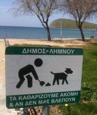 Πρόστιμα από το Δήμο Λήμνου σε ιδιοκτήτες που τα κατοικίδια τους μολύνουν κοινόχρηστους χώρους