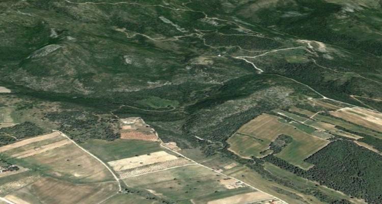 Δασικοί χάρτες: Συμβούλια ιδιοκτησίας θα εξετάσουν την κυριότητα των εκτάσεων