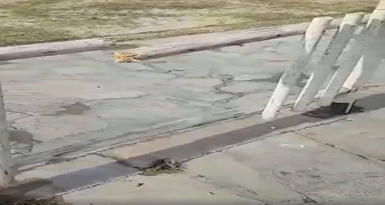 Αντιδρά η Κοινότητα Μύρινας για τους βανδαλισμούς στις παιδικές χαρές (video)