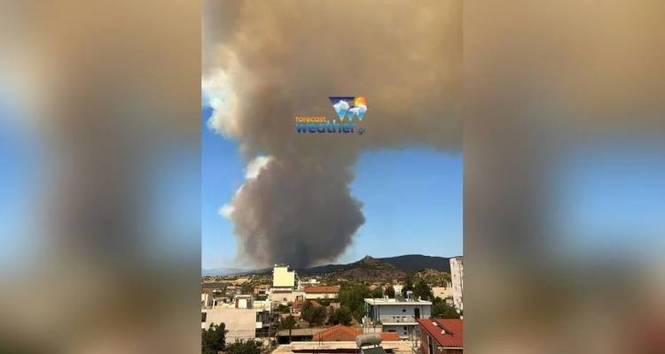 Εύβοια: Η φωτιά απειλεί το Αφράτι που εκκενώθηκε -Πυροσβεστικός κλοιός για να προστατευτούν τα σπίτια