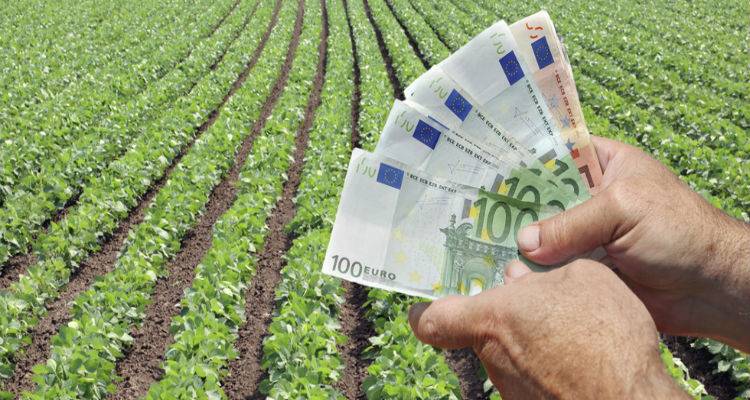 &Upsilon;&Pi;&Omicron;&Iota;&Kappa;: &Epsilon;&nu;&tau;ό&sigmaf; &mu;&eta;&nu;ό&sigmaf; &eta; &epsilon;&pi;&iota;&sigma;&tau;&rho;&omicron;&phi;ή &phi;ό&rho;&omicron;&upsilon; &sigma;&tau;&omicron;&upsilon;&sigmaf; &alpha;&gamma;&rho;ό&tau;&epsilon;&sigmaf; &epsilon;&iota;&delta;&iota;&kappa;&omicron;ύ &kappa;&alpha;&theta;&epsilon;&sigma;&tau;ώ&tau;&omicron;&sigmaf;