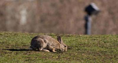 &Alpha;&gamma;&rho;&omicron;&tau;&iota;&kappa;ό&sigmaf; &Sigma;&upsilon;&nu;&epsilon;&tau;&alpha;&iota;&rho;&iota;&sigma;&mu;ό&sigmaf; &Kappa;&omicron;&nu;&tau;&omicron;&pi;&omicron;&upsilon;&lambda;ί&omicron;&upsilon;: &laquo;&Sigma;&alpha;&sigmaf; &epsilon;&upsilon;&chi;&alpha;&rho;&iota;&sigma;&tau;&omicron;ύ&mu;&epsilon; &gamma;&iota;&alpha; &tau;&eta;&nu; &alpha;&delta;&iota;&alpha;&phi;&omicron;&rho;ί&alpha; &sigma;&alpha;&sigmaf;&raquo;