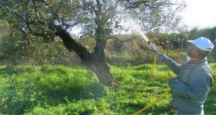 Ξεκινά ο δεύτερος κύκλος δακοκτονίας στη Λήμνο | Αναλυτικό πρόγραμμα ανά κοινότητα