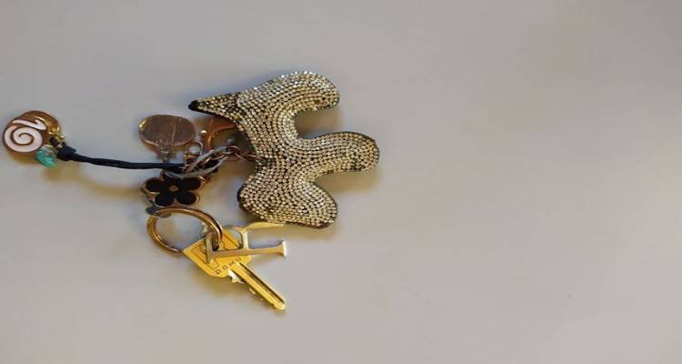 &Beta;&rho;έ&theta;&eta;&kappa;&alpha;&nu; &tau;&alpha; &kappa;&lambda;&epsilon;&iota;&delta;&iota;ά &tau;&eta;&sigmaf; &phi;&omega;&tau;&omicron;&gamma;&rho;&alpha;&phi;ί&alpha;&sigmaf;