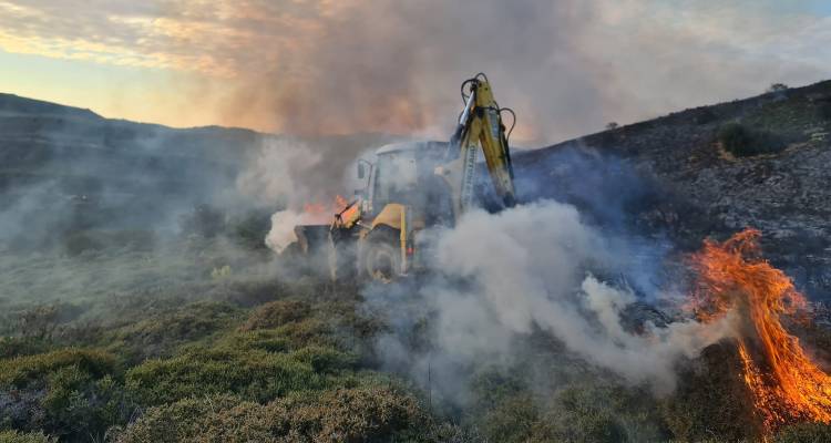 &Alpha;&nu;&tau;ώ&nu;&eta;&sigmaf; &Mu;&pi;&omicron;&upsilon;&nu;ά&sigmaf;- &Pi;&rho;ό&epsilon;&delta;&rho;&omicron;&sigmaf; &Delta;ά&phi;&nu;&eta;&sigmaf;: &laquo;&Epsilon;&upsilon;&chi;&alpha;&rho;&iota;&sigma;&tau;ώ ό&sigma;&omicron;&upsilon;&sigmaf; &sigma;&upsilon;&nu;έ&delta;&rho;&alpha;&mu;&alpha;&nu; &gamma;&iota;&alpha; &tau;&omicron;&nu; &pi;&epsilon;&rho;&iota;&omicron;&rho;&iota;&sigma;&mu;ό &tau;&eta;&sigmaf; &phi;&omega;&tau;&iota;ά&sigmaf;&raquo;