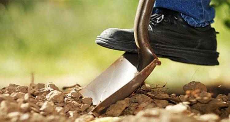 Διευκρινήσεις ζητά ο ΟΠΕΚΕΠΕ για τους αιτούντες Εξισωτικής Αποζημίωσης