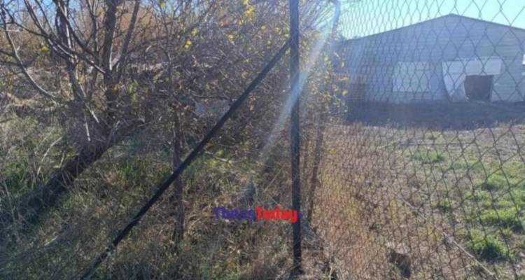 &Theta;&epsilon;&sigma;&sigma;&alpha;&lambda;&omicron;&nu;ί&kappa;&eta;: &Sigma;&tau;&omicron; &mu;&iota;&kappa;&rho;&omicron;&sigma;&kappa;ό&pi;&iota;&omicron; &epsilon;&iota;&delta;&iota;&kappa;ώ&nu; &epsilon;&kappa;&pi;&alpha;&iota;&delta;&epsilon;&upsilon;&tau;ώ&nu; &tau;&alpha; &tau;&rho;ί&alpha; &sigma;&kappa;&upsilon;&lambda;&iota;ά &pi;&omicron;&upsilon; &sigma;&kappa;ό&tau;&omega;&sigma;&alpha;&nu; &tau;&eta;&nu; 50&chi;&rho;&omicron;&nu;&eta; | &Pi;ό&tau;&epsilon; &theta;&alpha; &beta;&gamma;&epsilon;&iota; &tau;&omicron; &pi;ό&rho;&iota;&sigma;&mu;&alpha;