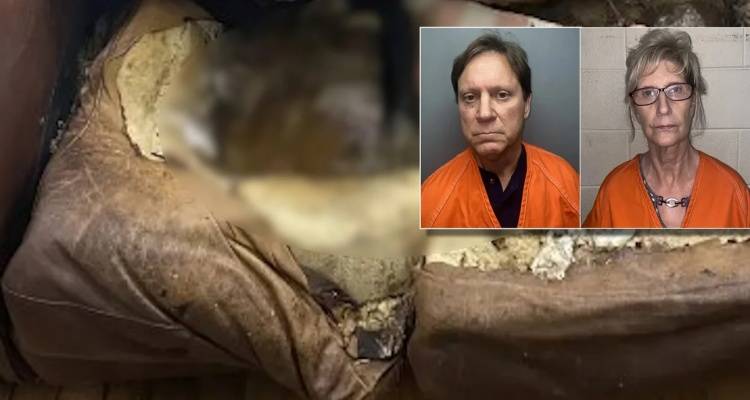 Έ&gamma;&kappa;&lambda;&eta;&mu;&alpha;-&sigma;&omicron;&kappa; &sigma;&tau;&eta; &Lambda;&omicron;&upsilon;&iota;&zeta;&iota;ά&nu;&alpha;: &Gamma;&omicron;&nu;&epsilon;ί&sigmaf; ά&phi;&eta;&sigma;&alpha;&nu; &tau;&eta;&nu; &kappa;ό&rho;&eta; &tau;&omicron;&upsilon;&sigmaf; &nu;&alpha; &sigma;&alpha;&pi;ί&sigma;&epsilon;&iota; &sigma;&tau;&omicron;&nu; &kappa;&alpha;&nu;&alpha;&pi;έ