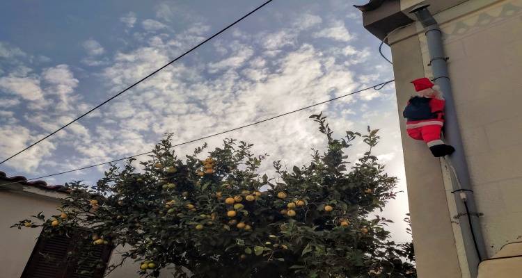 &Phi;&omega;&tau;&omicron;: &Beta;&iota;&kappa;&tau;ώ&rho;&iota;&alpha; &Epsilon;&pi;&iota;&tau;&rho;&omicron;&pi;ά&kappa;&eta;