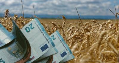 &Kappa;ί&nu;&delta;&upsilon;&nu;&omicron;&sigmaf; &alpha;&pi;ώ&lambda;&epsilon;&iota;&alpha;&sigmaf; &alpha;&gamma;&rho;&omicron;&tau;&iota;&kappa;ώ&nu; &epsilon;&nu;&iota;&sigma;&chi;ύ&sigma;&epsilon;&omega;&nu; &alpha;&pi;ό &lambda;ά&theta;&eta; &tau;&omicron;&upsilon; &Kappa;&tau;&eta;&mu;&alpha;&tau;&omicron;&lambda;&omicron;&gamma;ί&omicron;&upsilon; &sigma;&epsilon; &Lambda;έ&sigma;&beta;&omicron; &kappa;&alpha;&iota; &Chi;ί&omicron;