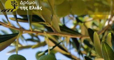 &Sigma;&upsilon;&mu;&mu;&epsilon;&tau;&omicron;&chi;ή &tau;&eta;&sigmaf; &Pi;&epsilon;&rho;&iota;&phi;έ&rho;&epsilon;&iota;&alpha;&sigmaf; &Beta;&omicron;&rho;&epsilon;ί&omicron;&upsilon; &Alpha;&iota;&gamma;&alpha;ί&omicron;&upsilon; &sigma;&tau;&omicron; &Pi;&rho;ό&gamma;&rho;&alpha;&mu;&mu;&alpha; &Pi;&omicron;&lambda;&iota;&tau;&iota;&sigma;&tau;&iota;&kappa;ώ&nu; &Delta;&iota;&alpha;&delta;&rho;&omicron;&mu;ώ&nu; &laquo;&Delta;&rho;ό&mu;&omicron;&iota; &tau;&eta;&sigmaf; &Epsilon;&lambda;&iota;ά&sigmaf;&raquo;