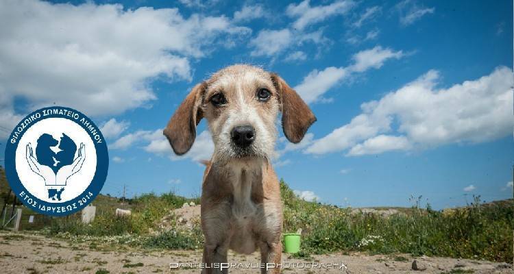 &Tau;&omicron; &Phi;&iota;&lambda;&omicron;&zeta;&omega;&iota;&kappa;ό &Sigma;&omega;&mu;&alpha;&tau;&epsilon;ί&omicron; &Lambda;ή&mu;&nu;&omicron;&upsilon; &epsilon;&upsilon;&chi;&alpha;&rho;&iota;&sigma;&tau;&epsilon;ί...