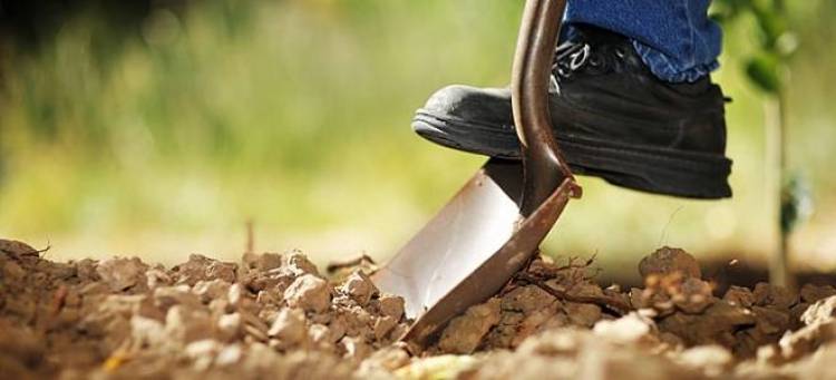 Κατατέθηκε η τροπολογία για το ακατάσχετο και αφορολόγητο των αγροτών