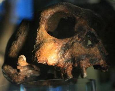 &Tau;&alpha; &epsilon;&lambda;&lambda;&eta;&nu;&iota;&kappa;ά &nu;&eta;&sigma;&iota;ά &kappa;&alpha;&tau;&omicron;&iota;&kappa;ή&theta;&eta;&kappa;&alpha;&nu; &pi;&rho;&iota;&nu; 170.000 &chi;&rho;ό&nu;&iota;&alpha;!