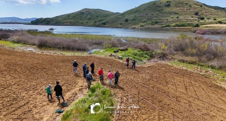 Από 28 Απριλίου οι αιτήσεις «Αναδιάρθρωση και μετατροπή αμπελώνων»