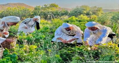 &Chi;.&Omicron;.&Lambda;."&Omicron; Ή&phi;&alpha;&iota;&sigma;&tau;&omicron;&sigmaf;": &Phi;&omega;&tau;&omicron;&gamma;&rho;ά&phi;&iota;&sigma;&eta; &mu;&epsilon; &pi;&alpha;&rho;&alpha;&delta;&omicron;&sigma;&iota;&alpha;&kappa;έ&sigmaf; &phi;&omicron;&rho;&epsilon;&sigma;&iota;έ&sigmaf; &kappa;&alpha;&iota; &theta;έ&mu;&alpha; &tau;&iota;&sigmaf; &delta;&iota;&alpha;&delta;&iota;&kappa;&alpha;&sigma;ί&epsilon;&sigmaf; &tau;&omicron;&upsilon; &Tau;&rho;ύ&gamma;&omicron;&upsilon;