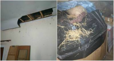 &Epsilon;&iota;&delta;&iota;&kappa;ό &sigma;&chi;&omicron;&lambda;&epsilon;ί&omicron; &Kappa;&alpha;&lambda;&lambda;&iota;&theta;έ&alpha;&sigmaf;: Έ&kappa;&kappa;&lambda;&eta;&sigma;&eta; &gamma;&iota;&alpha; &epsilon;&pi;&iota;&sigma;&kappa;&epsilon;&upsilon;ή &tau;&omega;&nu; &kappa;&tau;&eta;&rho;&iota;&alpha;&kappa;ώ&nu; &pi;&rho;&omicron;&beta;&lambda;&eta;&mu;ά&tau;&omega;&nu; | &laquo;&Eta; &alpha;ί&theta;&omicron;&upsilon;&sigma;&alpha; &Delta;. &Pi;&alpha;&lambda;&alpha;&iota;&omicron;&lambda;ό&gamma;&omicron;&sigmaf; &kappa;&alpha;&tau;&alpha;&rho;&rho;έ&epsilon;&iota;&raquo;