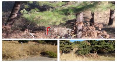 &Lambda;ή&mu;&nu;&omicron;&sigmaf;: &laquo;&Mu;&pi;&alpha;&lambda;ά&kappa;&iota;&raquo; &gamma;&iota;&alpha; &tau;&omicron; &kappa;&alpha;&theta;&alpha;&rho;&iota;&sigma;&mu;ό &alpha;&lambda;&sigma;&upsilon;&lambda;&lambda;ί&omega;&nu;