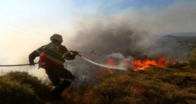 Φωτιά στο Θάνος προκαλεί ερωτηματικά | Γάλλοι τουρίστες στο πλευρό της Πυροσβεστικής