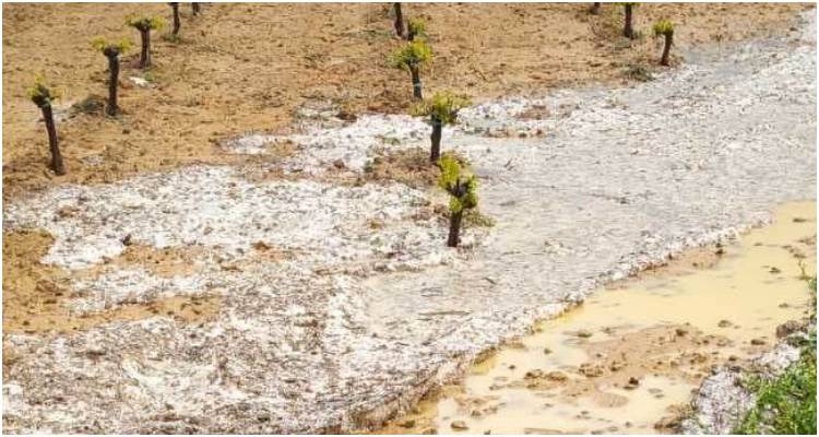 &Lambda;ή&mu;&nu;&omicron;&sigmaf;: &laquo;&Kappa;ά&nu;&tau;&epsilon; &gamma;&nu;&omega;&sigma;&tau;ή &tau;&eta; &zeta;&eta;&mu;&iota;ά &sigma;&tau;&alpha; &alpha;&mu;&pi;έ&lambda;&iota;&alpha; &sigma;&alpha;&sigmaf; &alpha;&pi;ό &tau;&eta; &chi;&alpha;&lambda;&alpha;&zeta;ό&pi;&tau;&omega;&sigma;&eta;&raquo;