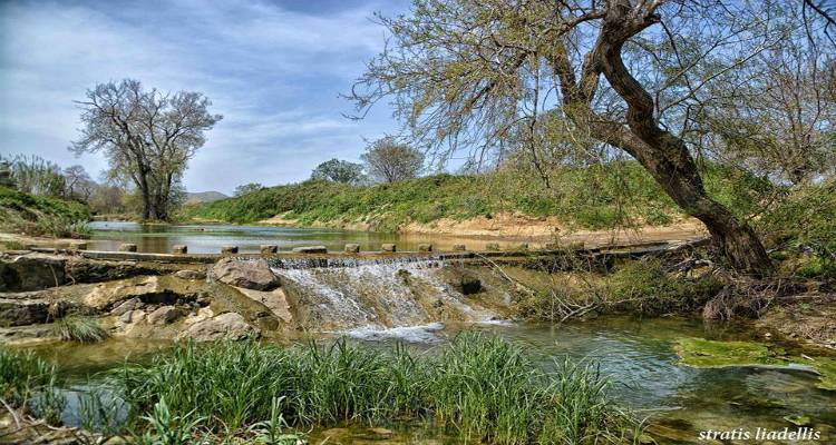 &Delta;&upsilon;&sigma;&lambda;&epsilon;&iota;&tau;&omicron;&upsilon;&rho;&gamma;ί&alpha; &sigma;&tau;&omicron;&nu; &beta;&iota;&omicron;&lambda;&omicron;&gamma;&iota;&kappa;ό &tau;&omicron;&upsilon; &Lambda;&iota;&beta;&alpha;&delta;&omicron;&chi;&omega;&rho;ί&omicron;&upsilon; | &Sigma;&upsilon;&nu;&epsilon;&rho;&gamma;&alpha;&sigma;ί&alpha; &mu;&epsilon; &tau;&eta;&nu; 130 &Sigma;&Mu; &epsilon;&pi;&iota;&delta;&iota;ώ&kappa;&epsilon;&iota; &omicron; &Delta;ή&mu;&omicron;&sigmaf; &Lambda;ή&mu;&nu;&omicron;&upsilon; (mp3)