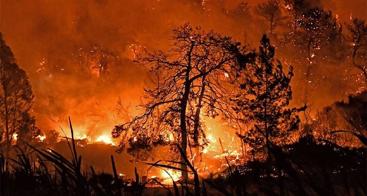 Φωτιά στον Σχίνο Κορινθίας: Μάχη με τις φλόγες - Εκκενώθηκαν έξι οικισμοί και δύο Μονές