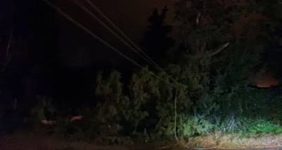 &Phi;&upsilon;&tau;&omicron;&gamma;&rho;&alpha;&phi;ί&alpha; &Alpha;&rho;&chi;&epsilon;ί&omicron;&upsilon; 