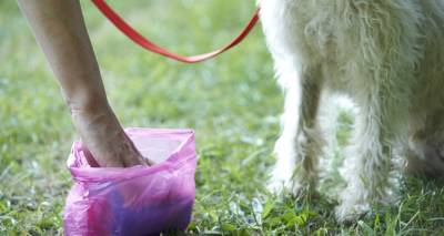 «Καμπανάκι» από τον Δήμο Λήμνου στους ιδιοκτήτες κατοικιδίων για τα περιττώματα ζώων σε κοινόχρηστους χώρους