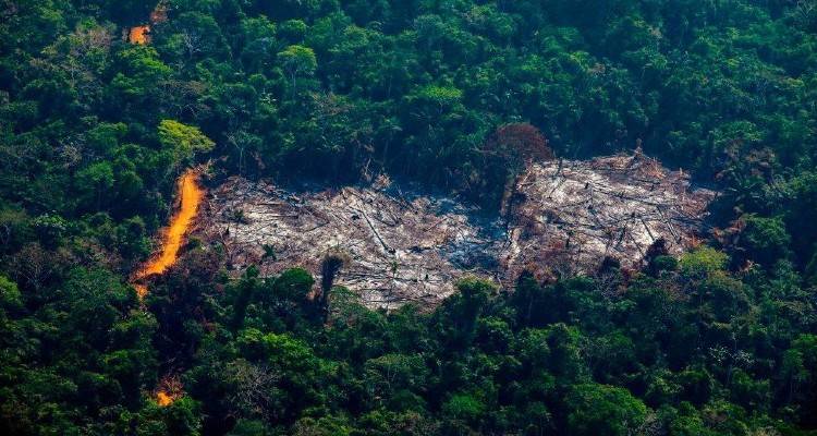 Γλασκώβη – Σύνοδο COP26 για το κλίμα : Συμφωνία για τον τερματισμό της αποψίλωσης των δασών έως το 2030