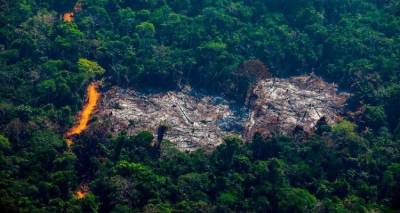 Γλασκώβη – Σύνοδο COP26 για το κλίμα : Συμφωνία για τον τερματισμό της αποψίλωσης των δασών έως το 2030