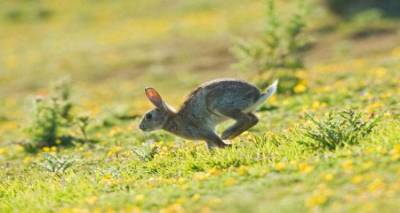 &Alpha;&nu;&alpha;&kappa;&omicron;&iota;&nu;ώ&theta;&eta;&kappa;&alpha;&nu; &tau;&alpha; &alpha;&pi;&omicron;&tau;έ&lambda;&epsilon;&sigma;&mu;&alpha; &alpha;&pi;ό &tau;&iota;&sigmaf; &zeta;&eta;&mu;&iota;έ&sigmaf; &pi;&omicron;&upsilon; &pi;&rho;&omicron;&kappa;ά&lambda;&epsilon;&sigma;&alpha;&nu; &tau;&alpha; &alpha;&gamma;&rho;&iota;&omicron;&kappa;&omicron;ύ&nu;&epsilon;&lambda;&alpha; &sigma;&tau;&alpha; &alpha;&mu;&pi;έ&lambda;&iota;&alpha; &tau;&eta;&sigmaf; &Lambda;ή&mu;&nu;&omicron;&upsilon;