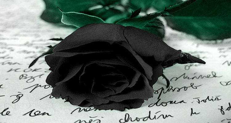 &Omicron;&iota;&kappa;&omicron;&gamma;έ&nu;&epsilon;&iota;&alpha; &Nu;&tau;&alpha;&lambda;&alpha;&mu;&pi;ί&rho;&alpha; : &laquo;&Kappa;&alpha;&lambda;ό &tau;&alpha;&xi;ί&delta;&iota;. &Theta;&alpha; &epsilon;ί&sigma;&alpha;&iota; &pi;ά&nu;&tau;&alpha; &sigma;&tau;&eta;&nu; &kappa;&alpha;&rho;&delta;&iota;ά &mu;&alpha;&sigmaf;&raquo;