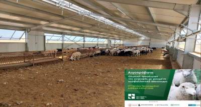 &Sigma;&tau;&eta;&nu; &Lambda;ή&mu;&nu;&omicron; &omicron; &mu;&eta; &kappa;&epsilon;&rho;&delta;&omicron;&sigma;&kappa;&omicron;&pi;&iota;&kappa;ό&sigmaf; &omicron;&rho;&gamma;&alpha;&nu;&iota;&sigma;&mu;ό&sigmaf; "&Nu;έ&alpha; &Gamma;&epsilon;&omega;&rho;&gamma;ί&alpha; &Nu;έ&alpha; &Gamma;&epsilon;&nu;&iota;ά"