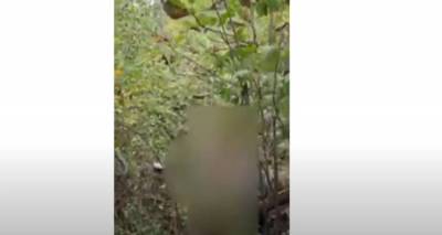 YouTubers &sigma;&tau;&omicron; &Kappa;&epsilon;&nu;&tau;ά&kappa;&iota; &beta;&rho;ή&kappa;&alpha;&nu; &tau;&omicron; &pi;&tau;ώ&mu;&alpha; &kappa;&alpha;&tau;&alpha;&zeta;&eta;&tau;&omicron;ύ&mu;&epsilon;&nu;&omicron;&upsilon; &sigma;&epsilon; livestreaming [&beta;ί&nu;&tau;&epsilon;&omicron;]