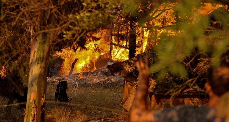 &Phi;&omega;&tau;&iota;ά &sigma;&tau;&eta;&nu; &Alpha;&chi;&alpha;ΐ&alpha;: 20 &kappa;&alpha;&mu;έ&nu;&alpha; &sigma;&pi;ί&tau;&iota;&alpha;, έ&nu;&alpha;&sigmaf; &tau;&rho;&alpha;&upsilon;&mu;&alpha;&tau;ί&alpha;&sigmaf; &mu;&epsilon; &epsilon;&gamma;&kappa;&alpha;ύ&mu;&alpha;&tau;&alpha; | &Sigma;&upsilon;&nu;&epsilon;&chi;ί&zeta;&epsilon;&tau;&alpha;&iota; &eta; &mu;ά&chi;&eta; &mu;&epsilon; &tau;&iota;&sigmaf; &phi;&lambda;ό&gamma;&epsilon;&sigmaf;