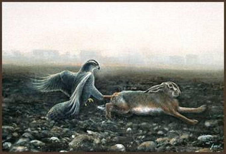 Κάλεσμα κυνηγετικού συλλόγου Λήμνου για την καταπολέμηση επιβλαβών