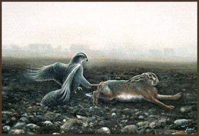 Κάλεσμα κυνηγετικού συλλόγου Λήμνου για την καταπολέμηση επιβλαβών