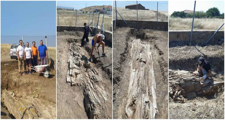 Ζούρος: «Γιγάντια σεκόγια ο απολιθωμένος κορμός στο Βάρος» (audio &amp; photos)