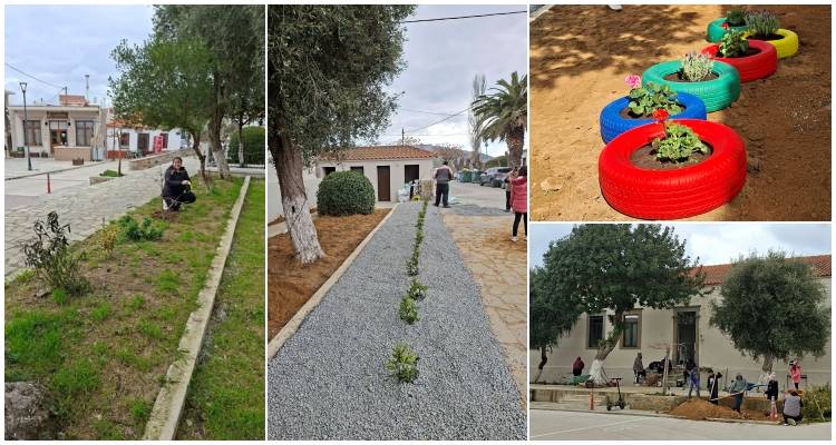 &Tau;&sigma;&iota;&mu;ά&nu;&delta;&rho;&iota;&alpha;: &Delta;&rho;ά&sigma;&eta; &kappa;&eta;&pi;&omicron;&upsilon;&rho;&iota;&kappa;ή&sigmaf; &kappa;&alpha;&iota; &kappa;&alpha;&lambda;&lambda;&omega;&pi;&iota;&sigma;&mu;&omicron;ύ &alpha;&pi;ό &tau;&omicron;&nu; &Pi;&omicron;&lambda;&iota;&tau;&iota;&sigma;&tau;&iota;&kappa;ό &Sigma;ύ&lambda;&lambda;&omicron;&gamma;&omicron; &laquo;&Omicron;&iota; &Kappa;&epsilon;&chi;&alpha;&gamma;&iota;ά&delta;&epsilon;&sigmaf;&raquo;
