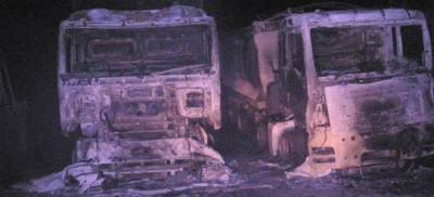 &Pi;&rho;&omega;&tau;&omicron;&phi;&alpha;&nu;ή&sigmaf; &epsilon;&pi;ί&theta;&epsilon;&sigma;&eta; &kappa;&omicron;&upsilon;&kappa;&omicron;&upsilon;&lambda;&omicron;&phi;ό&rho;&omega;&nu; &sigma;&tau;&omicron; &epsilon;&rho;&gamma;&omicron;&tau;ά&xi;&iota;&omicron; &tau;&eta;&sigmaf; &Epsilon;&Lambda;&Lambda;&Eta;&Nu;&Iota;&Kappa;&Omicron;&Sigma; &Chi;&Rho;&Upsilon;&Sigma;&Omicron;&Sigma; &sigma;&tau;&iota;&sigmaf; &Sigma;&kappa;&omicron;&upsilon;&rho;&iota;έ&sigmaf;