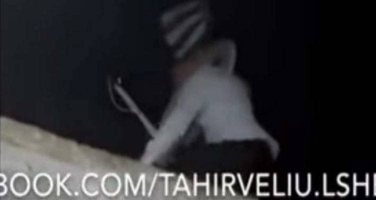 &Chi;&epsilon;&iota;&mu;ά&rho;&rho;&alpha;: &Alpha;&lambda;&beta;&alpha;&nu;&omicron;ί &epsilon;&iota;&sigma;έ&beta;&alpha;&lambda;&alpha;&nu; &sigma;&epsilon; &sigma;&pi;ί&tau;&iota; &kappa;&alpha;&iota; &kappa;&alpha;&tau;έ&beta;&alpha;&sigma;&alpha;&nu; &tau;&eta;&nu; &epsilon;&lambda;&lambda;&eta;&nu;&iota;&kappa;ή &sigma;&eta;&mu;&alpha;ί&alpha; (video)